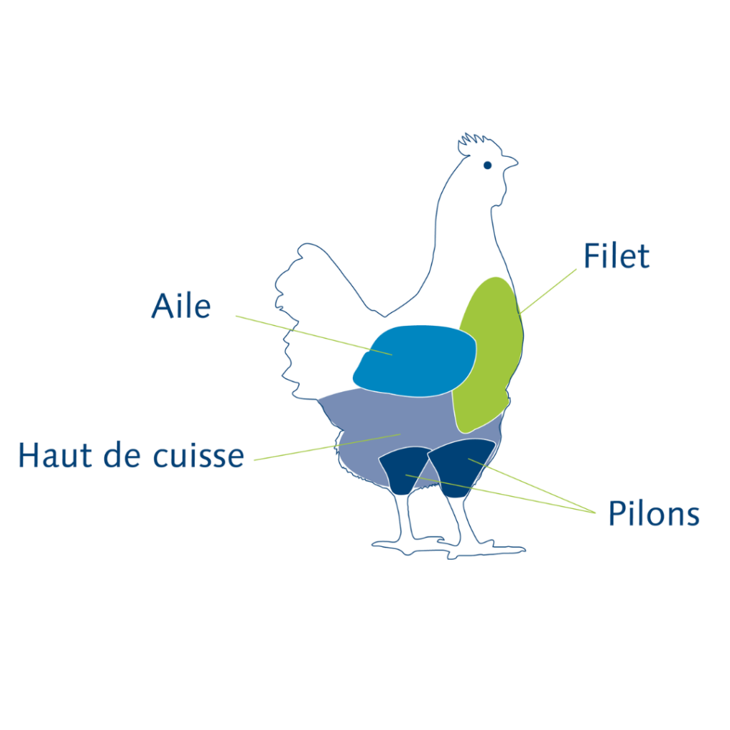 Schema Poule