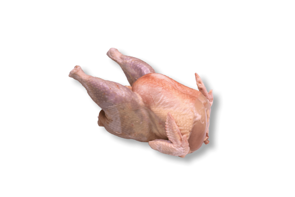 PAC poule